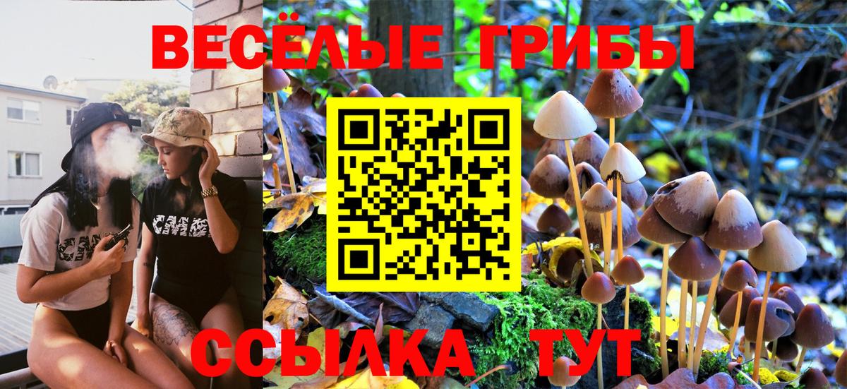 Псилоцибиновые грибы мухоморы Миасс