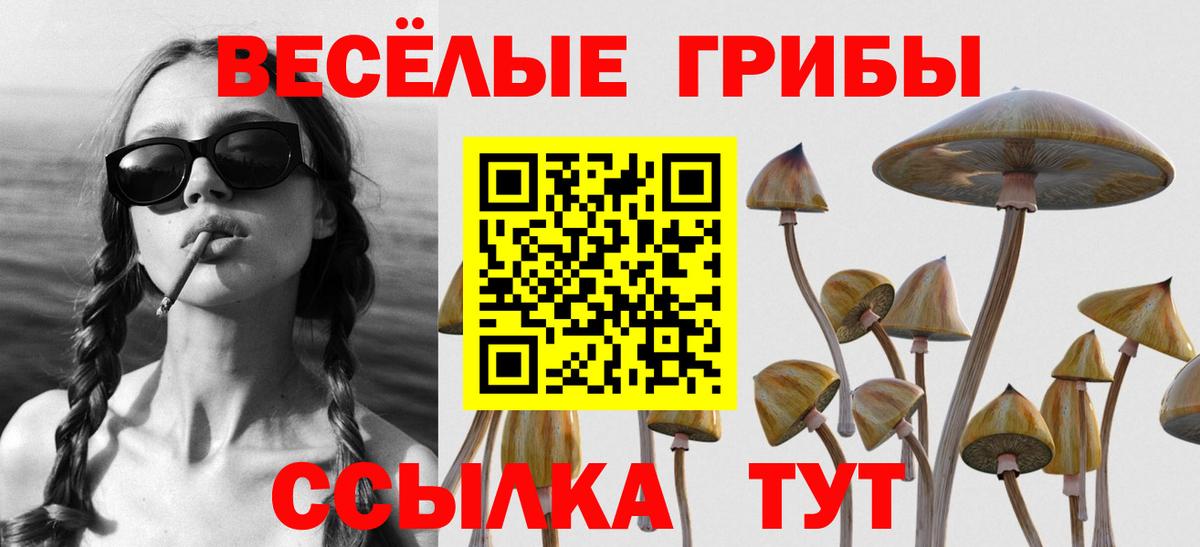Псилоцибиновые грибы Cubensis  Галлюциногенные грибы Magic Shrooms  хочу наркоту  Вход с VPN  Миасс 